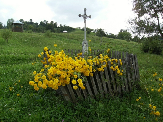 Product picture Old Cross Nature